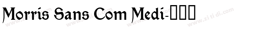Morris Sans Com Medi字体转换